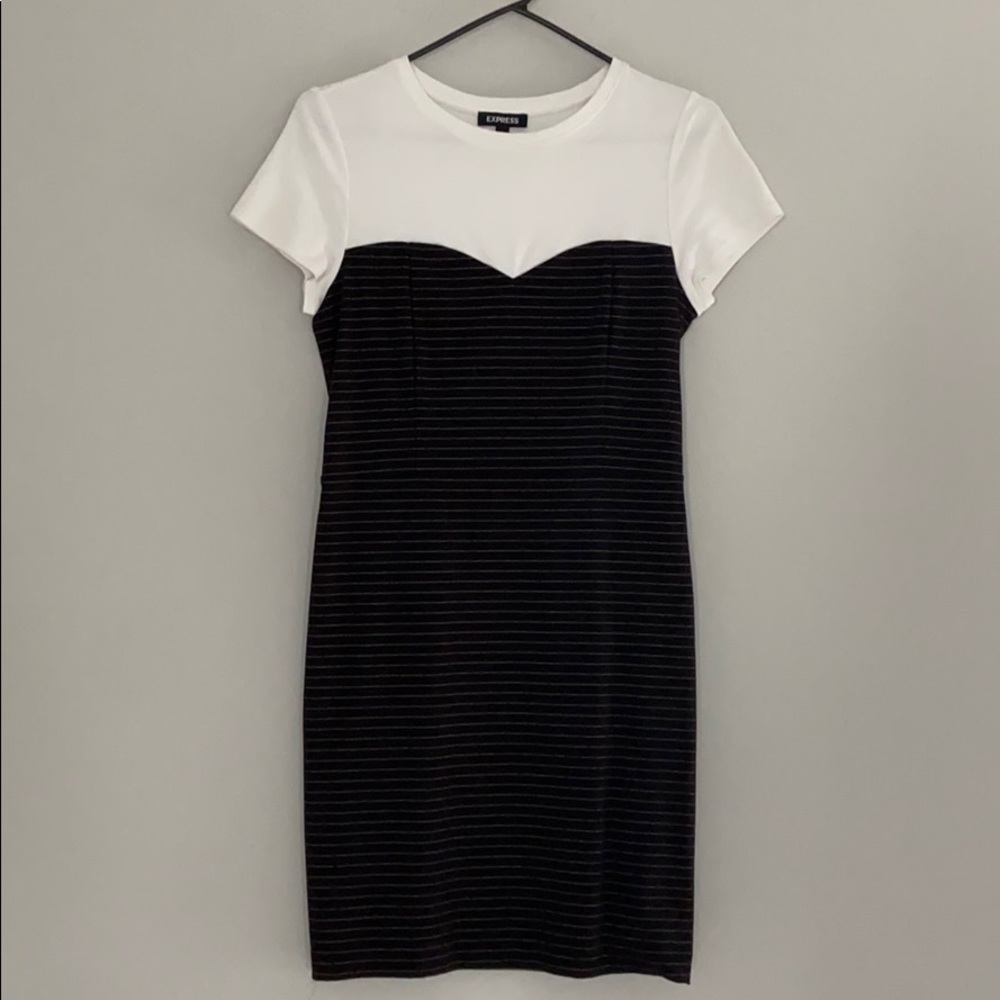 Express tux shirt dress